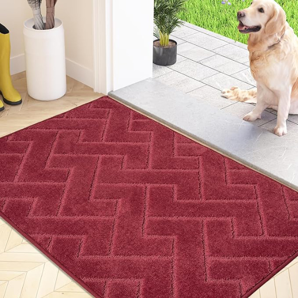 Durable & No Shedding Doormat Non-Slip Machine Washable Entrance Rug